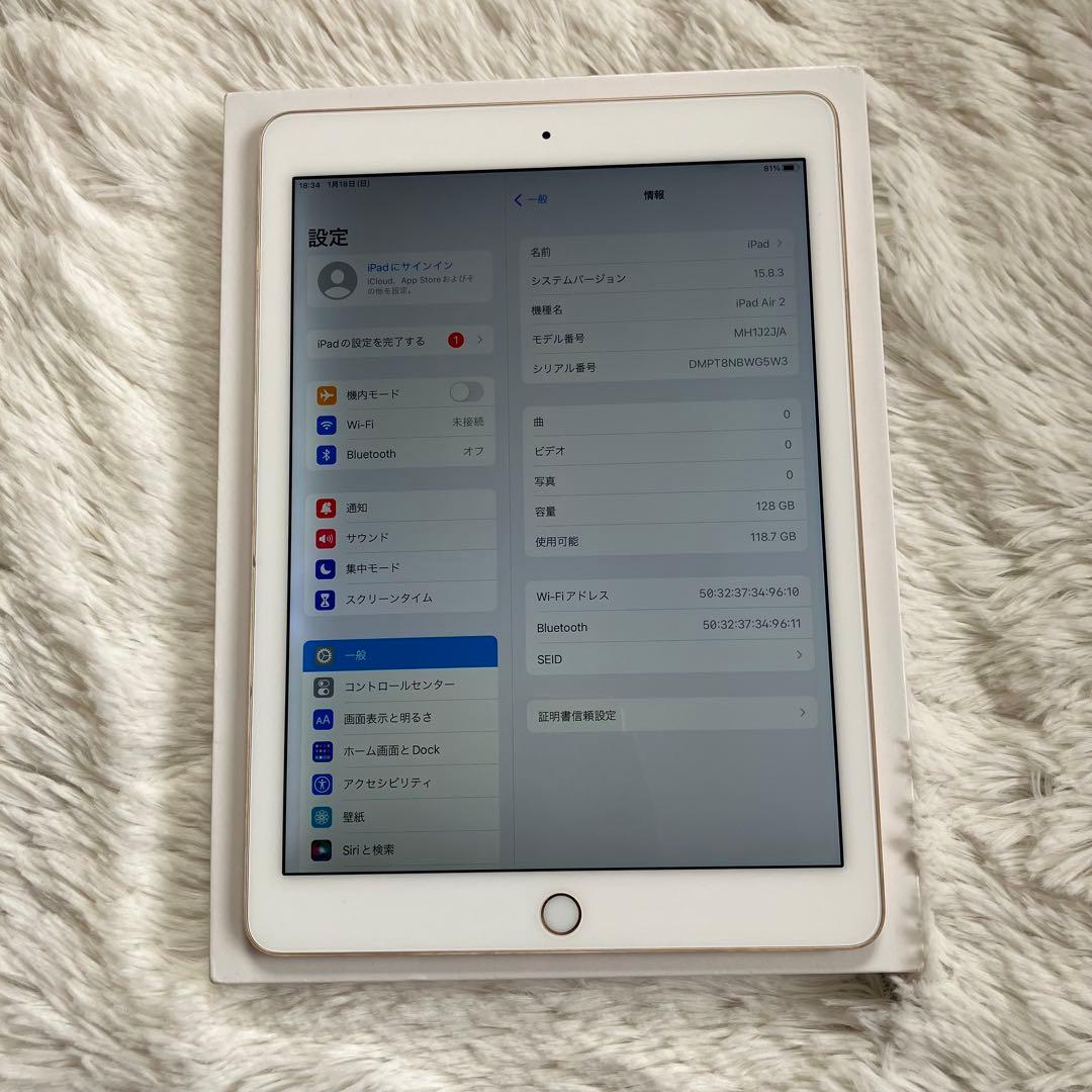 【早い者勝ち】iPad Air2 128GB 【すぐ発送】【付属品】