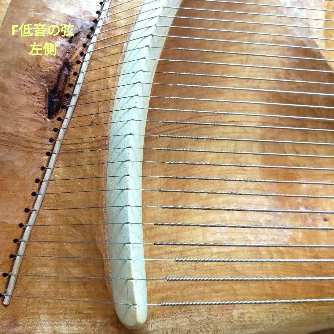 タオライアー 専用ケース付き 2014年製