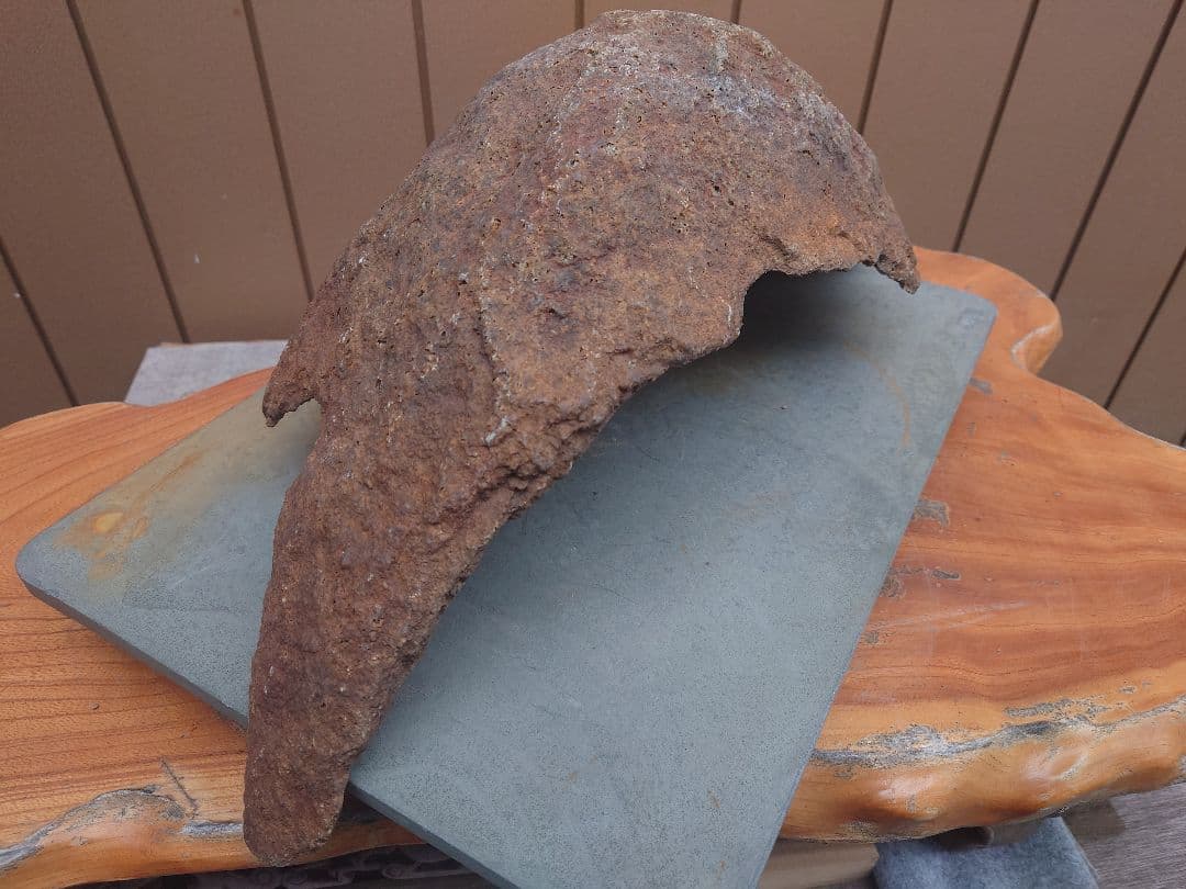 盆栽　鉢　鞍馬石？　幅51cm