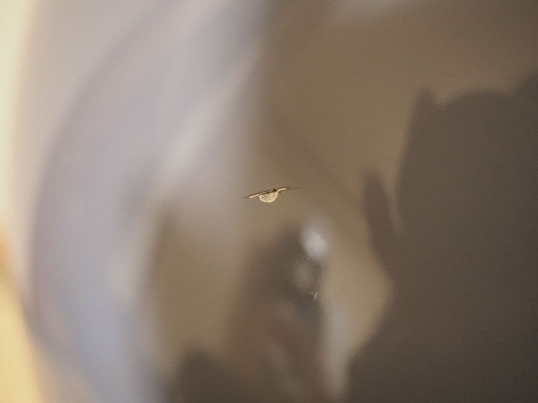 コロ助様 SHOEI EX-0 バイク ヘルメット フルフェイス ビーコム 配線