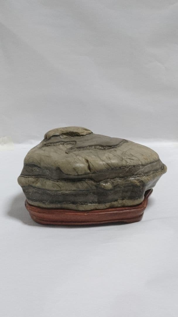 鑑賞石　盆石　白寅石