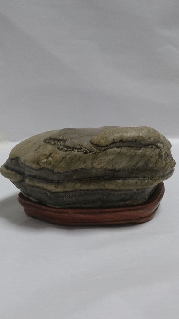 鑑賞石　盆石　白寅石