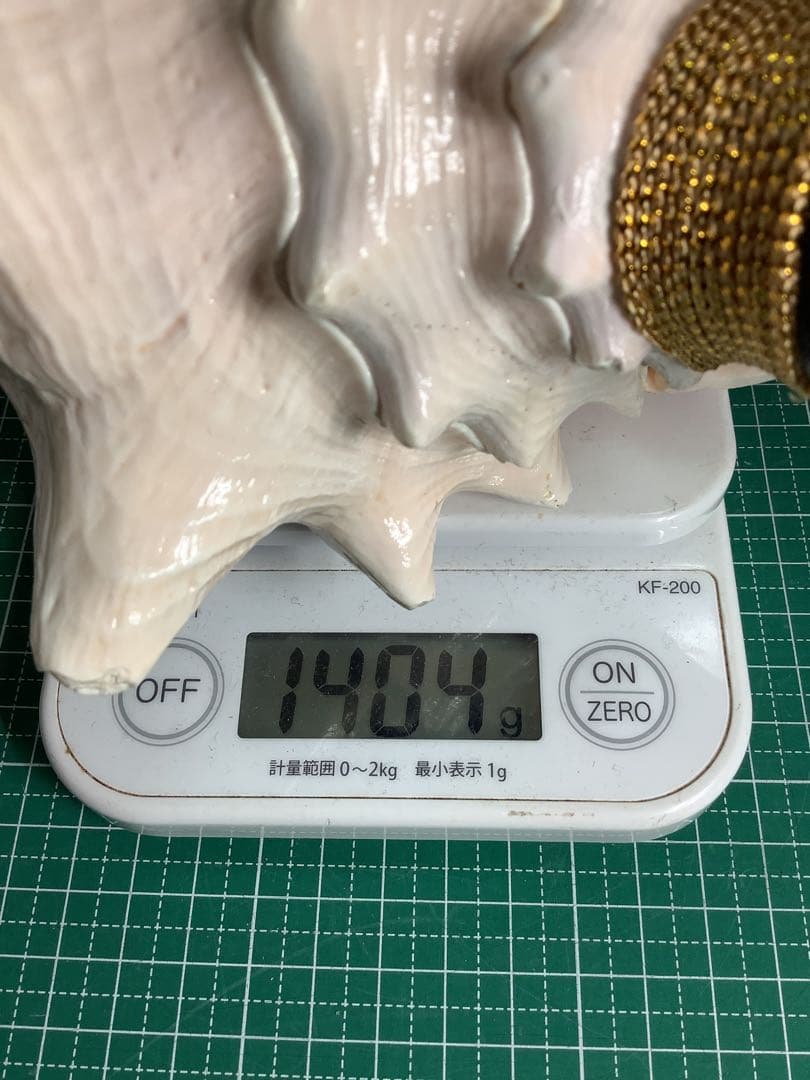 ヤフメリ55・ピンクガイ・法螺貝・山伏・修験者・戦国武将・金峯山・羽黒山・縁起物