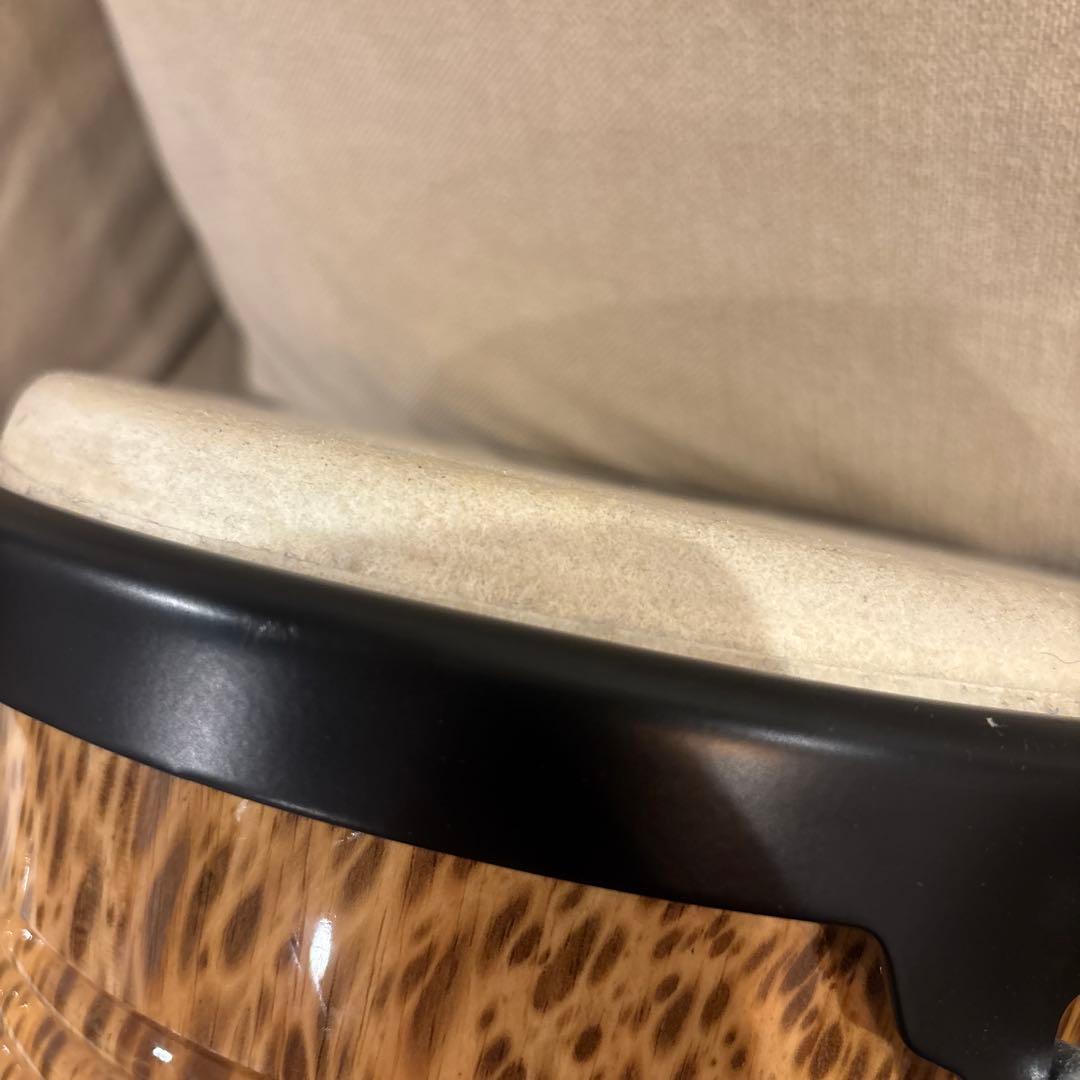 MEINL マイネル　ウッドボンゴ 豹柄　　ケース+ボンゴヘッド2種セット