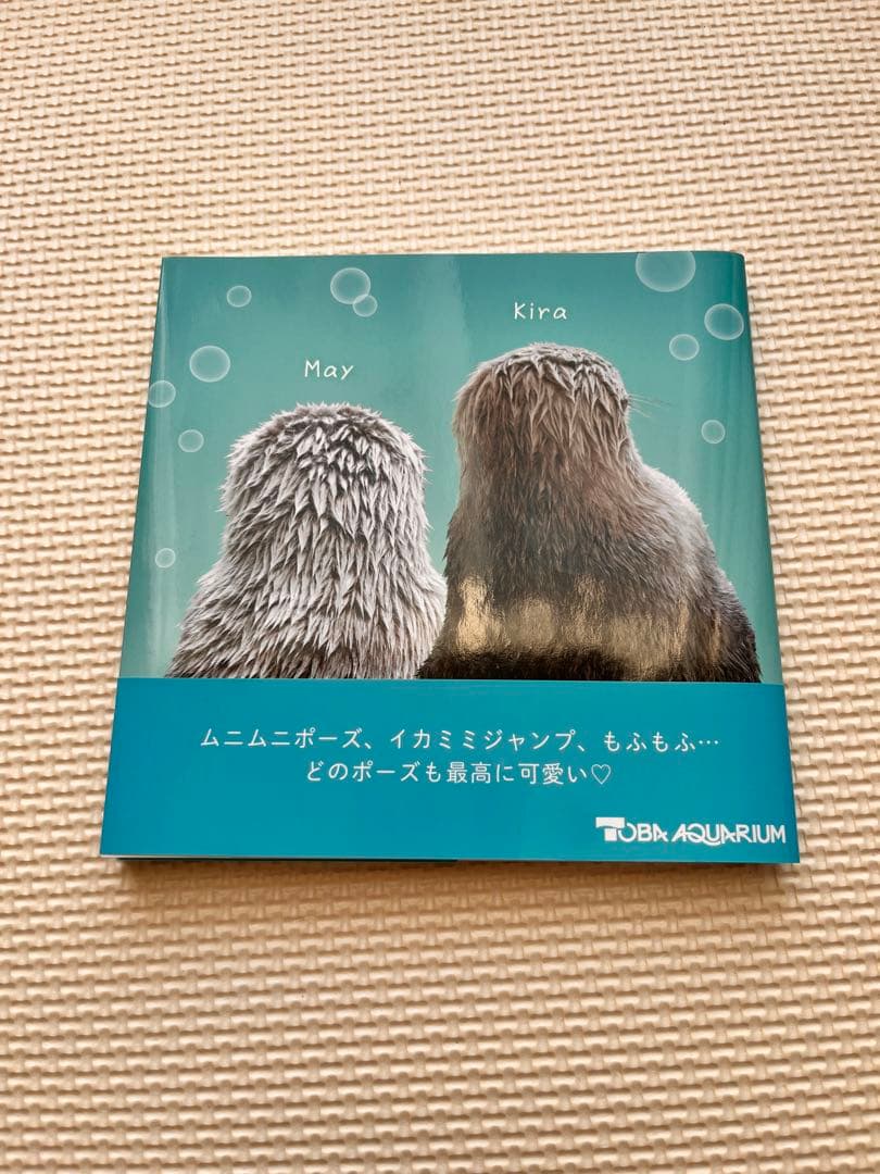 ラッコのメイとキラ