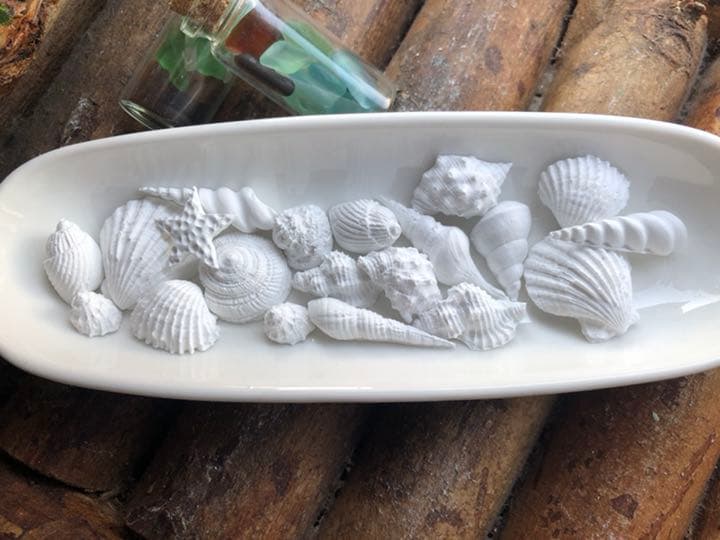 可愛い小さなシェル20個　アロマストーン