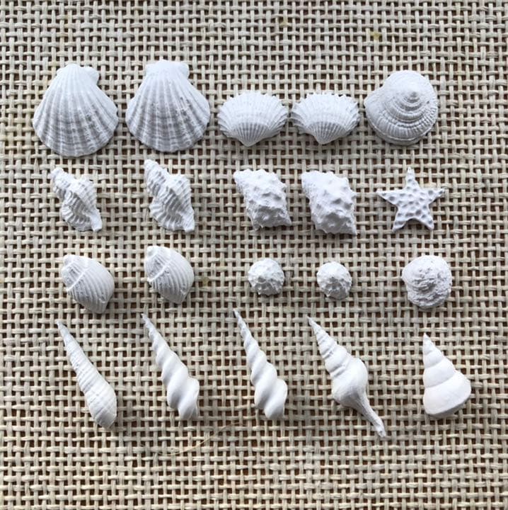 可愛い小さなシェル20個　アロマストーン
