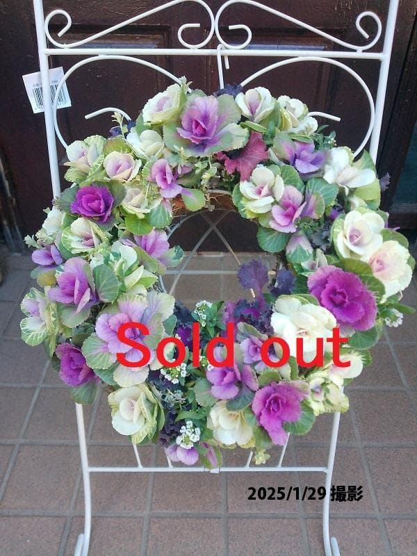 寄せ植え　ミニ ハボタン　リース仕立て (スタンド付)　葉牡丹　ハンギングリース