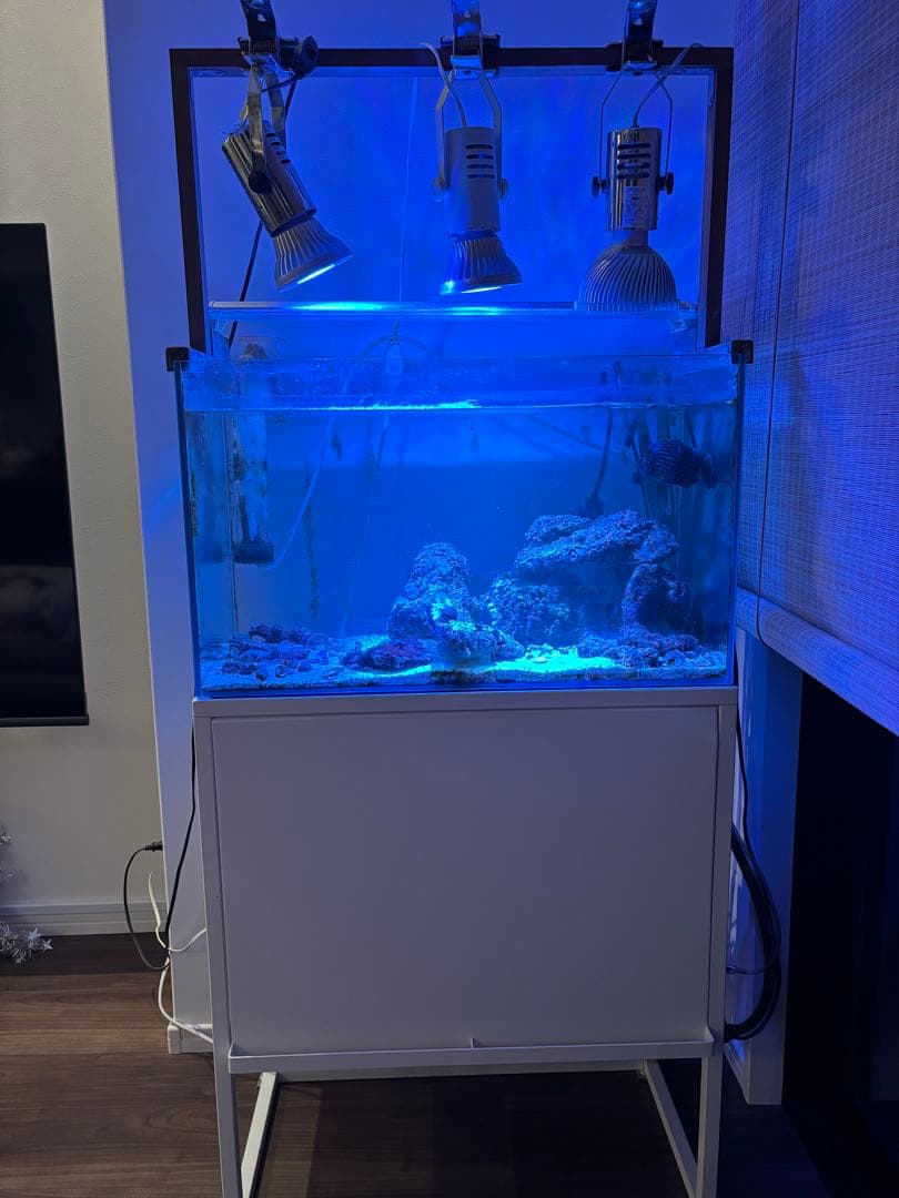 LED照明付き水槽とフィルター