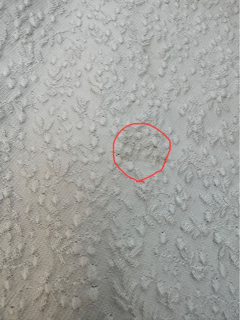 yori ☆ shicoron ☆ミモザショートブラウス