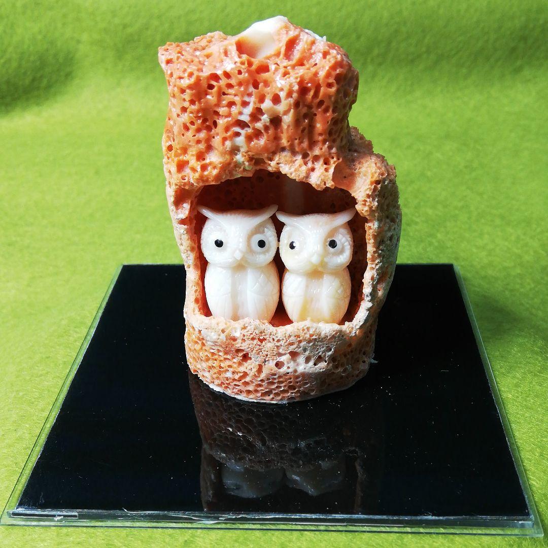 貴重　宝石珊瑚　夫婦ふくろう　彫刻置物　3578