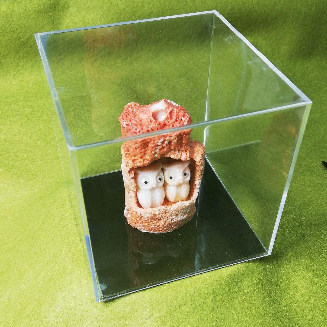 貴重　宝石珊瑚　夫婦ふくろう　彫刻置物　3578