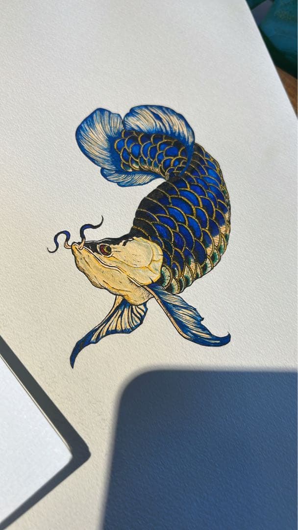 藍底過背金龍(ブルーアロワナ) 原画