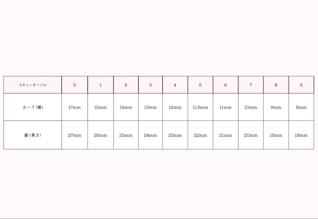 ネイルチップ 量産型 ちゅるん スナ系 フレンチ チェック柄 ハート シンプル