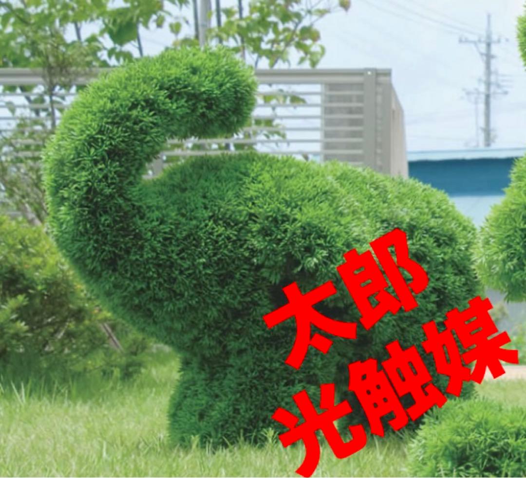 光触媒　人工観葉植物　ウォールグリーン　フェイクグリーン　ゾウs