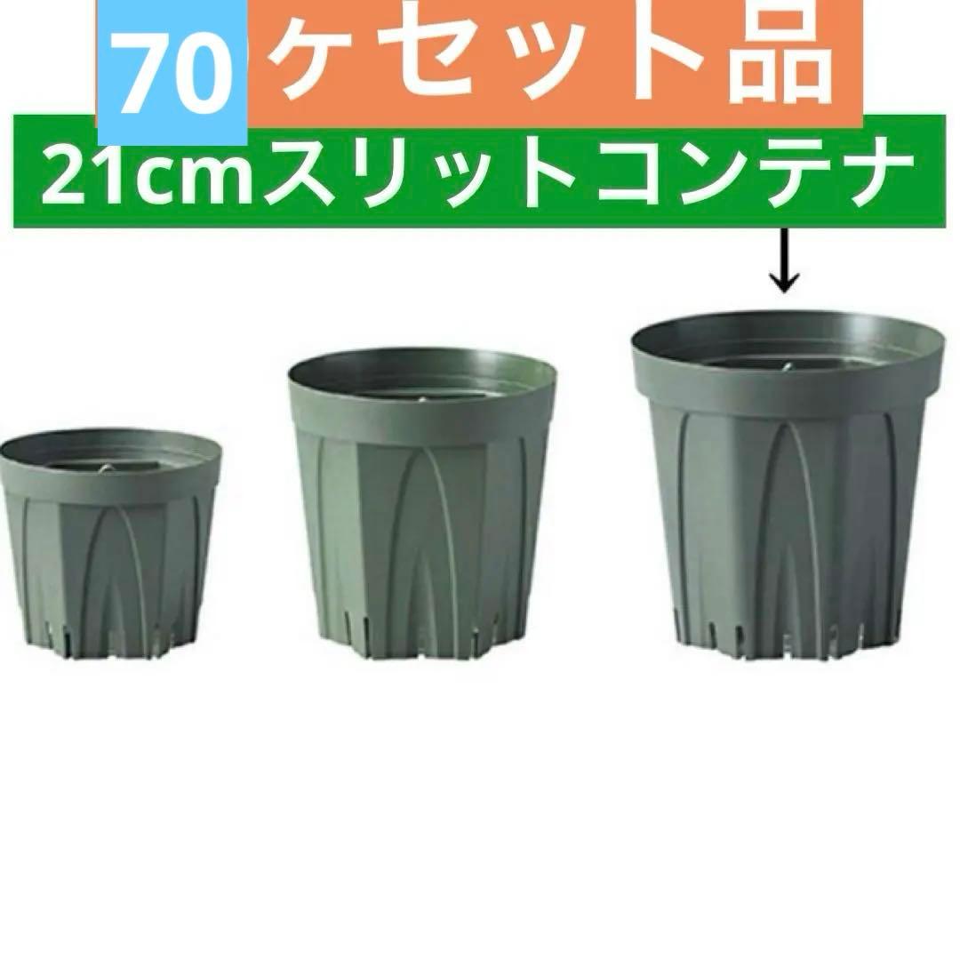 東海化成21cm 緑 TO スリットコンテナ TO-SC210 ・70ケ入セット