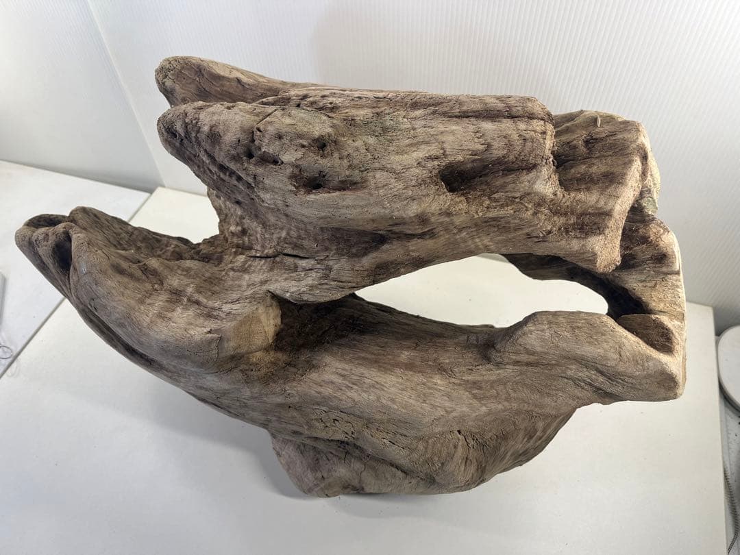 m6大型流木 アク抜き済み 爬虫類シェルター レイアウト用 オブジェ インテリア