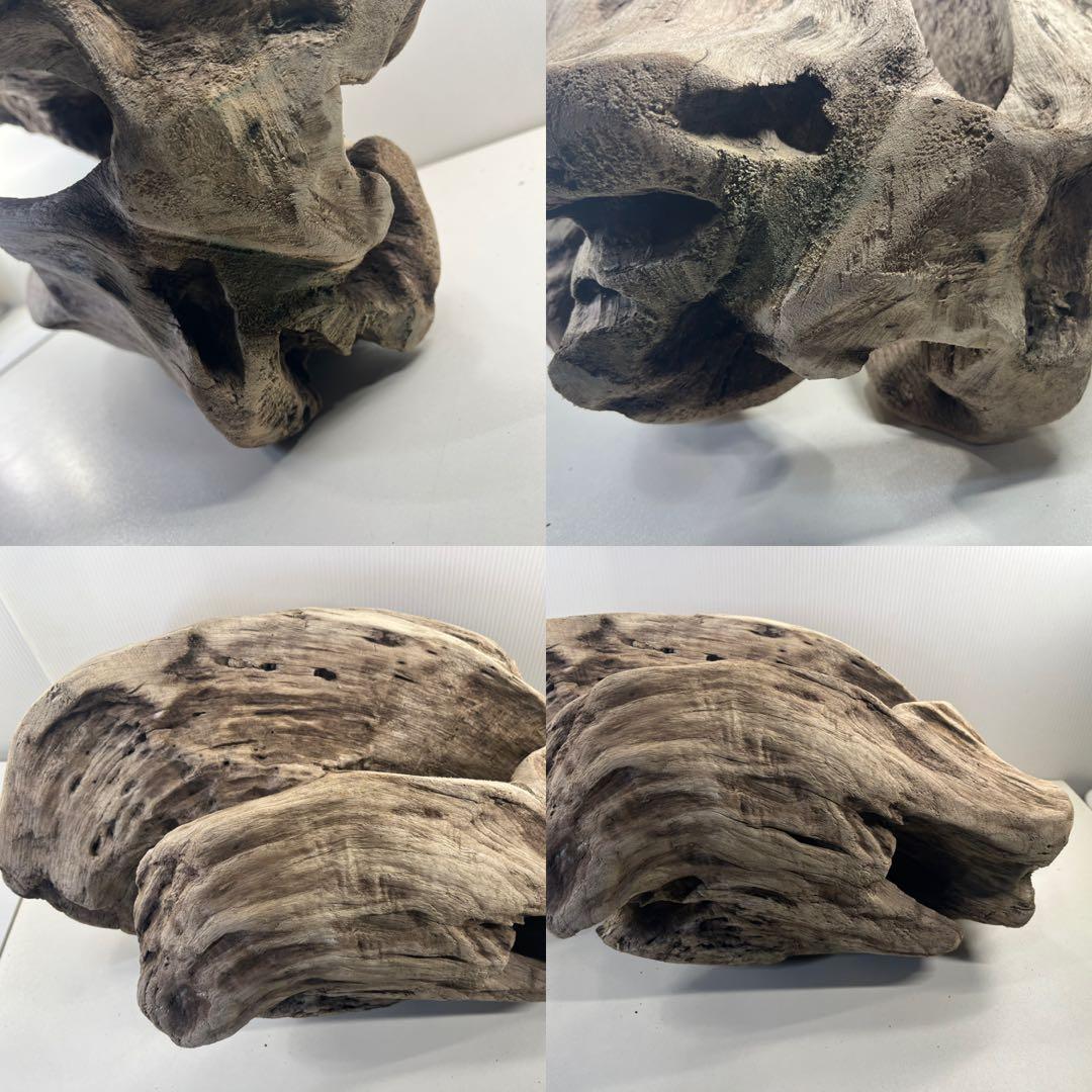 m6大型流木 アク抜き済み 爬虫類シェルター レイアウト用 オブジェ インテリア