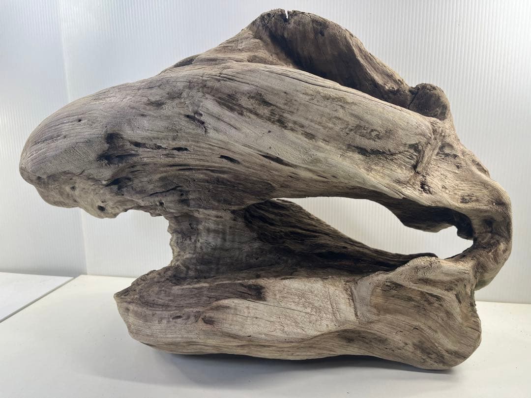 m6大型流木 アク抜き済み 爬虫類シェルター レイアウト用 オブジェ インテリア