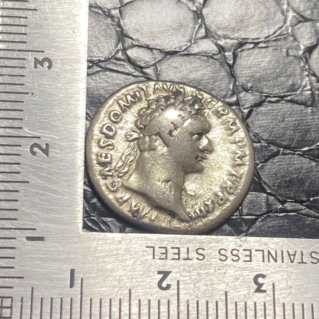 コレクション Ale