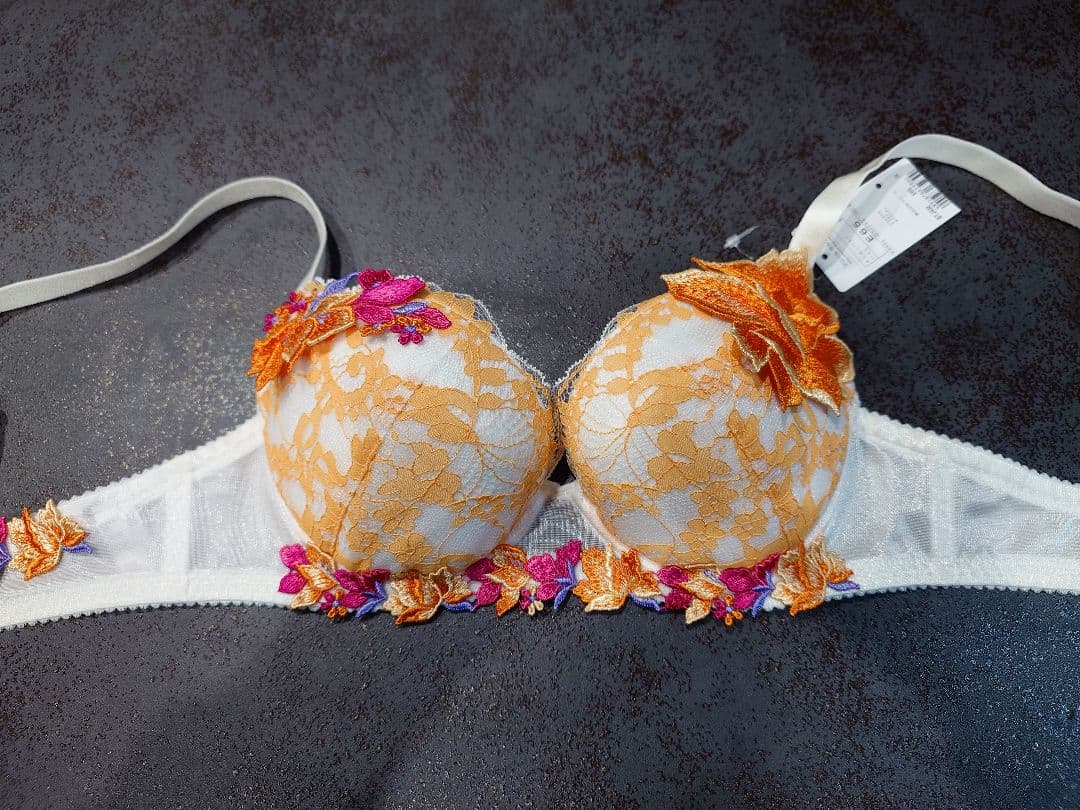 タイムセール2/9まで‼️サルート✨️レア✨️3点セットE65　訳あり