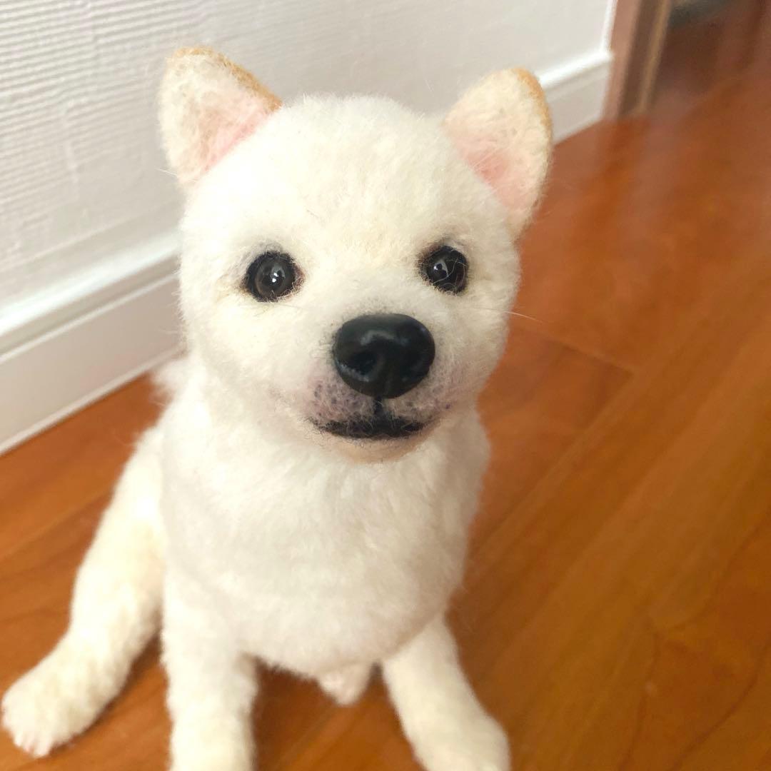 羊毛フェルト　白柴　紀州犬　白い子犬　パピー犬