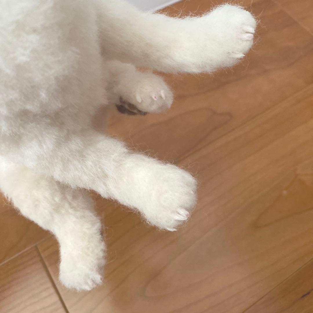 羊毛フェルト　白柴　紀州犬　白い子犬　パピー犬