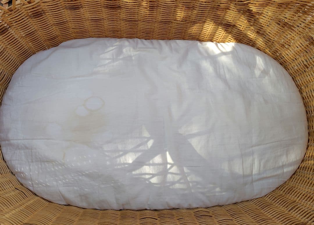 【オプションパーツ付】東京乳母車