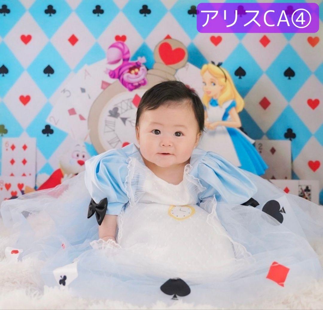 背景布　夏BB➃　ペット撮影用フォトブース　トリミングチョーカー販売中　縦長