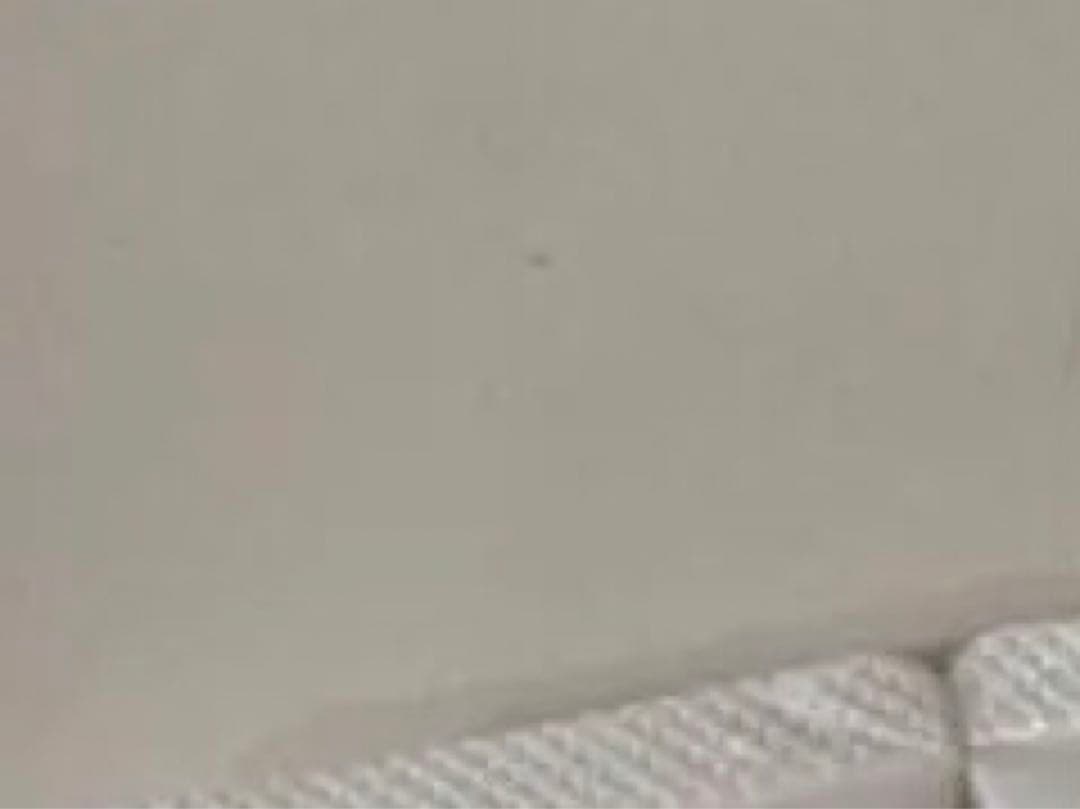 ありがとうございます