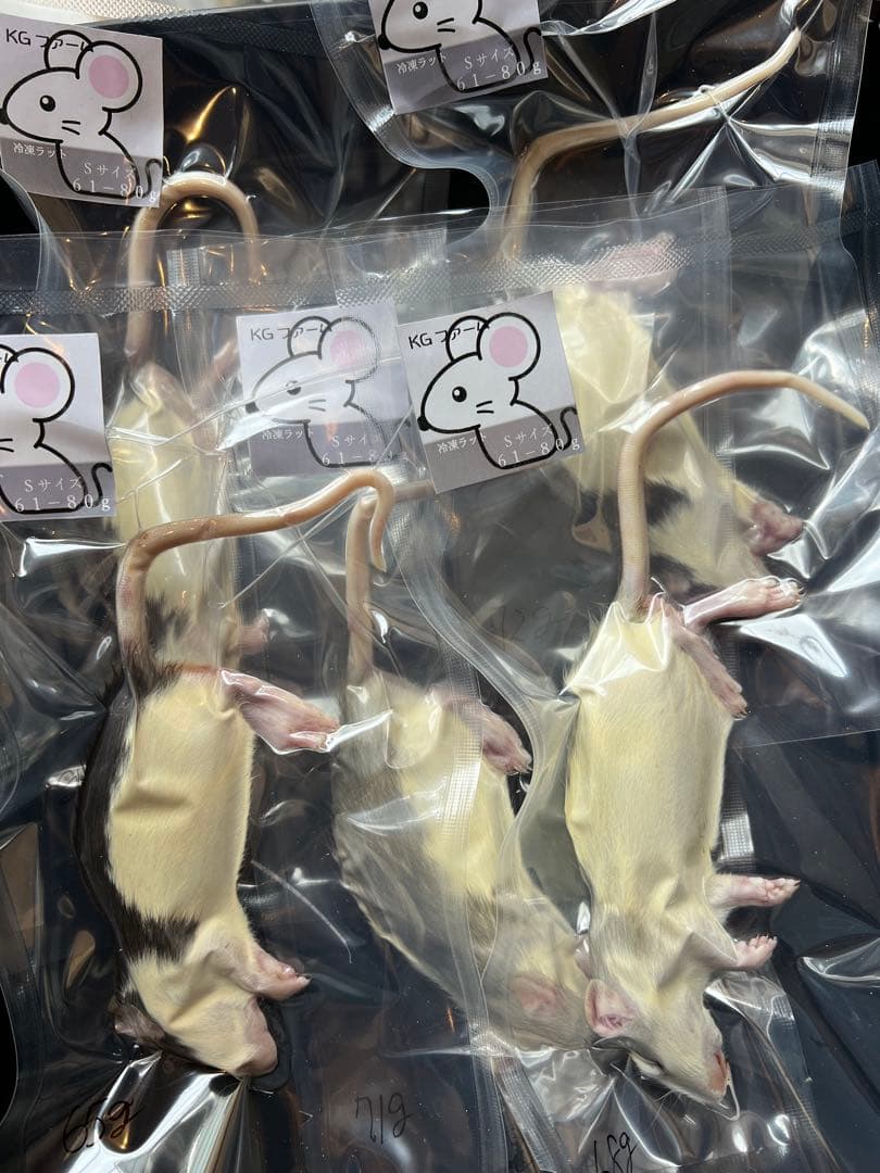 ☆冷凍ラット☆ れいこ様ご予約品