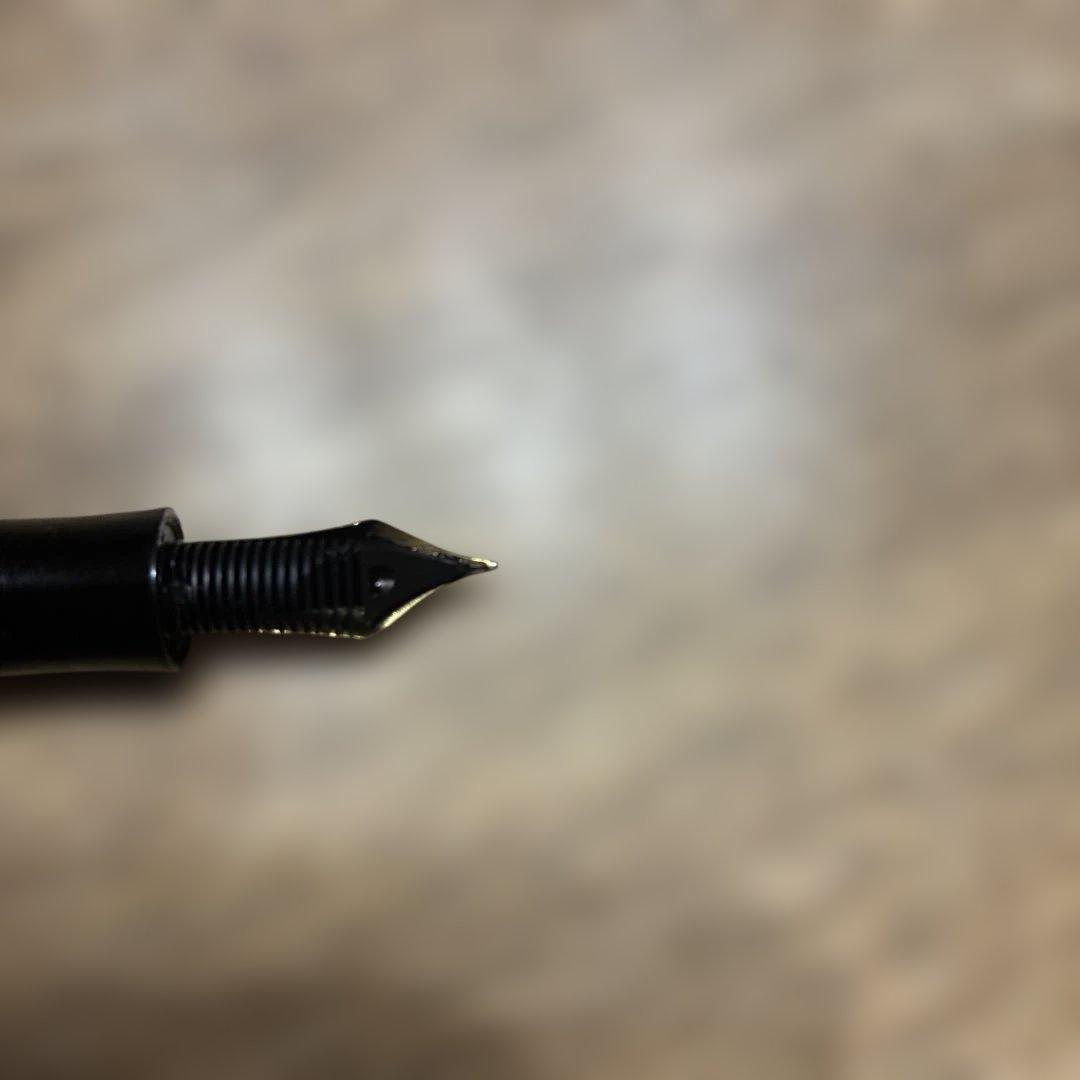 モンブラン作家シリーズ ドストエフスキー万年筆 Mニブ