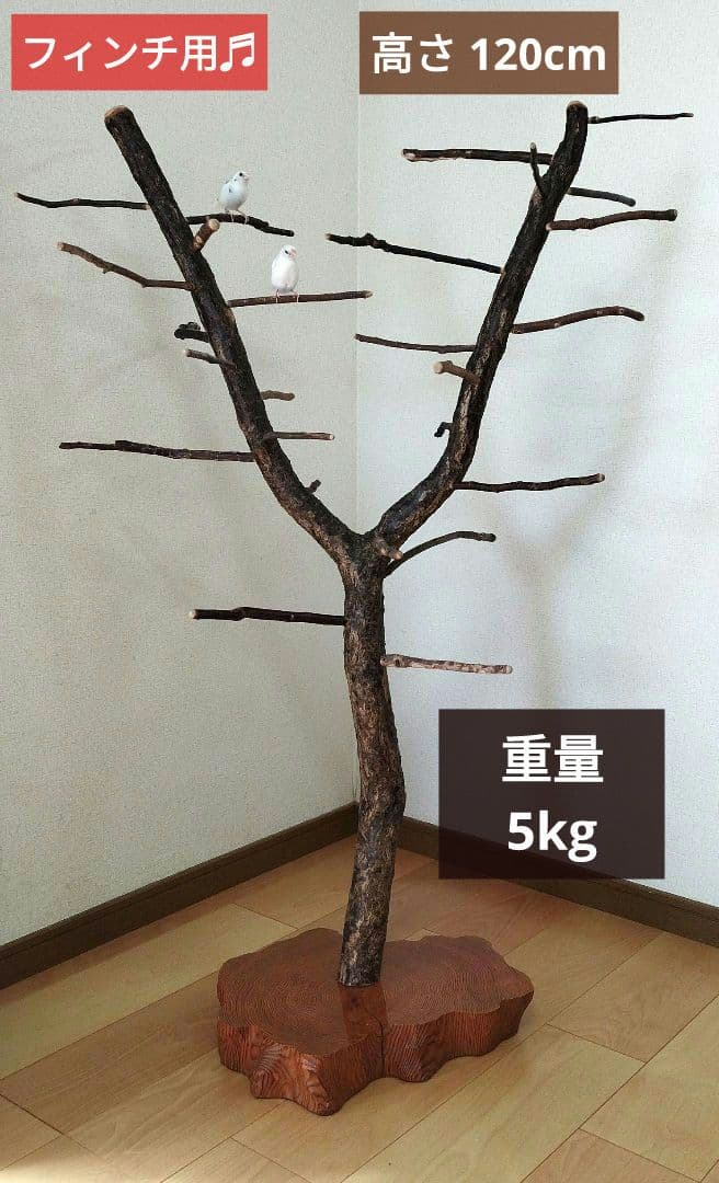 【フィンチ用】梅と桜のフィンチTree バードスタンド