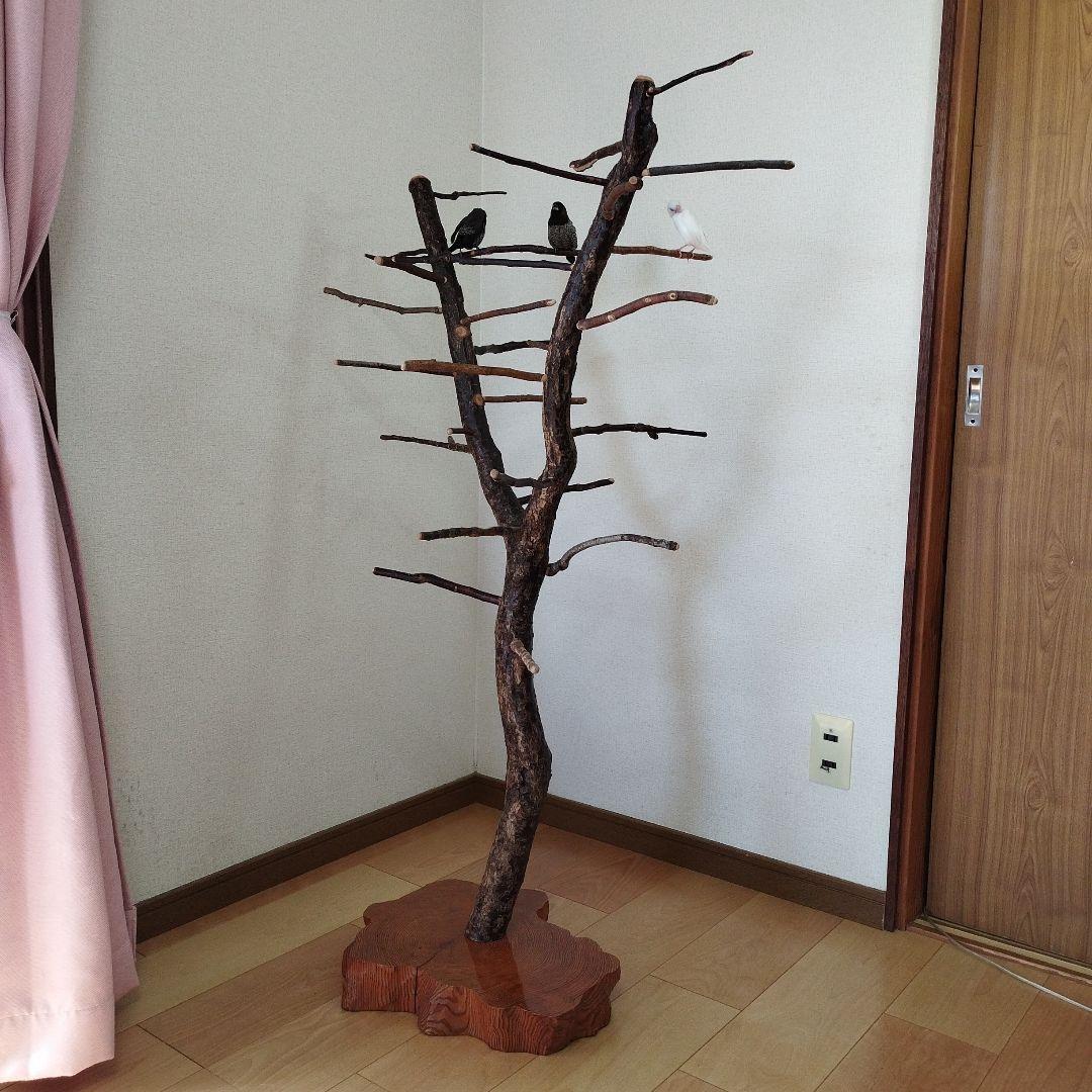 【フィンチ用】梅と桜のフィンチTree バードスタンド