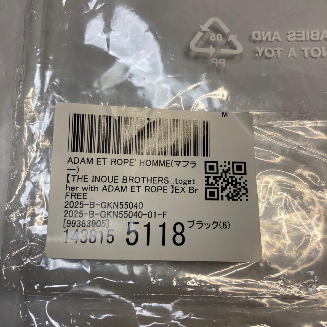 極美品 イノウエブラザーズ アダムエロペ別注 大判 ブラッシュドスカーフ