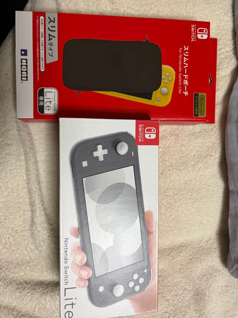 Switch light gray スイッチライト　グレー