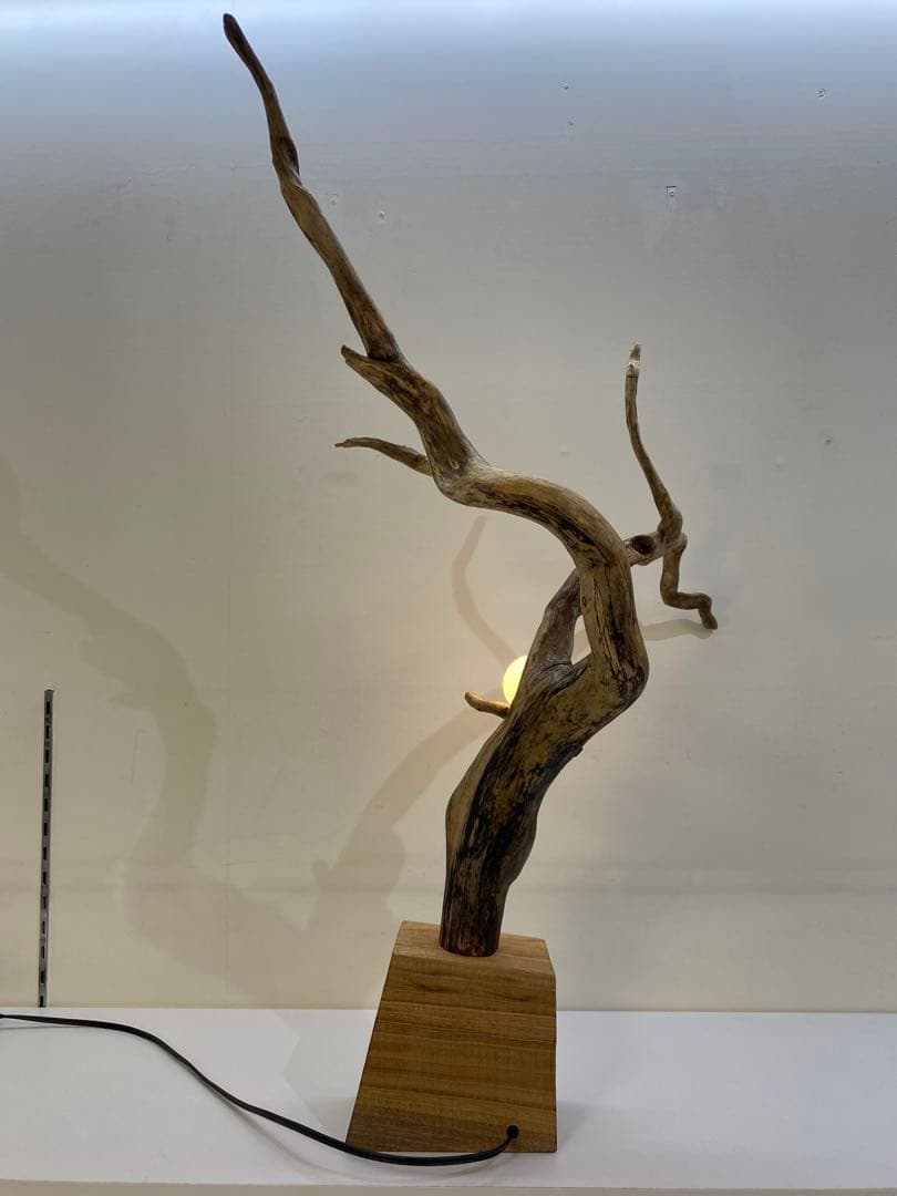 流木ライト　D+L NO.050