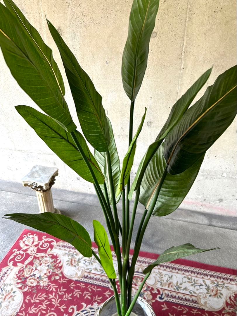 光触媒　人工観葉植物　オーガスタ　フェイクグリーン　ストレッチア155aj