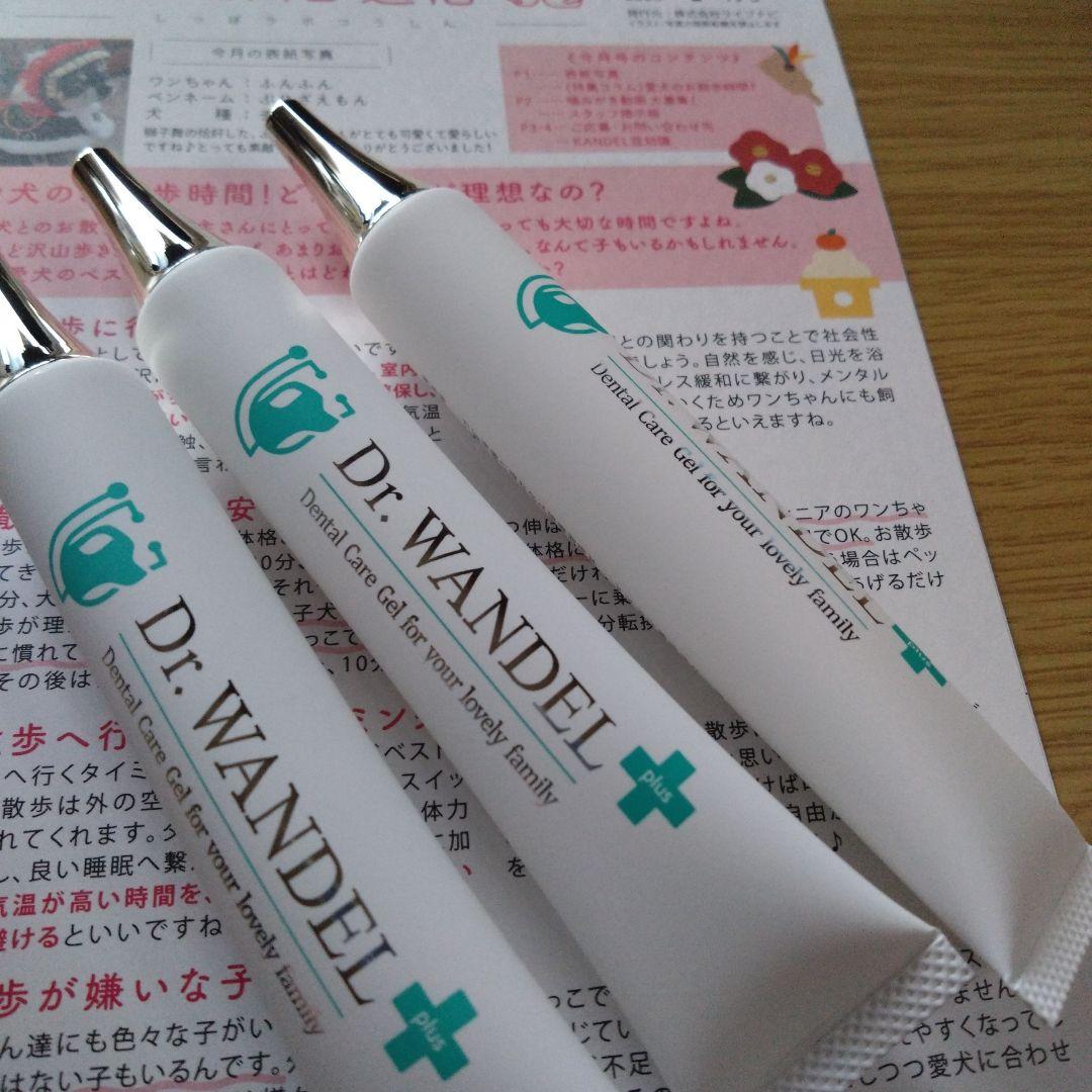 Dr. WANDL デンタルケアジェル 3本セット