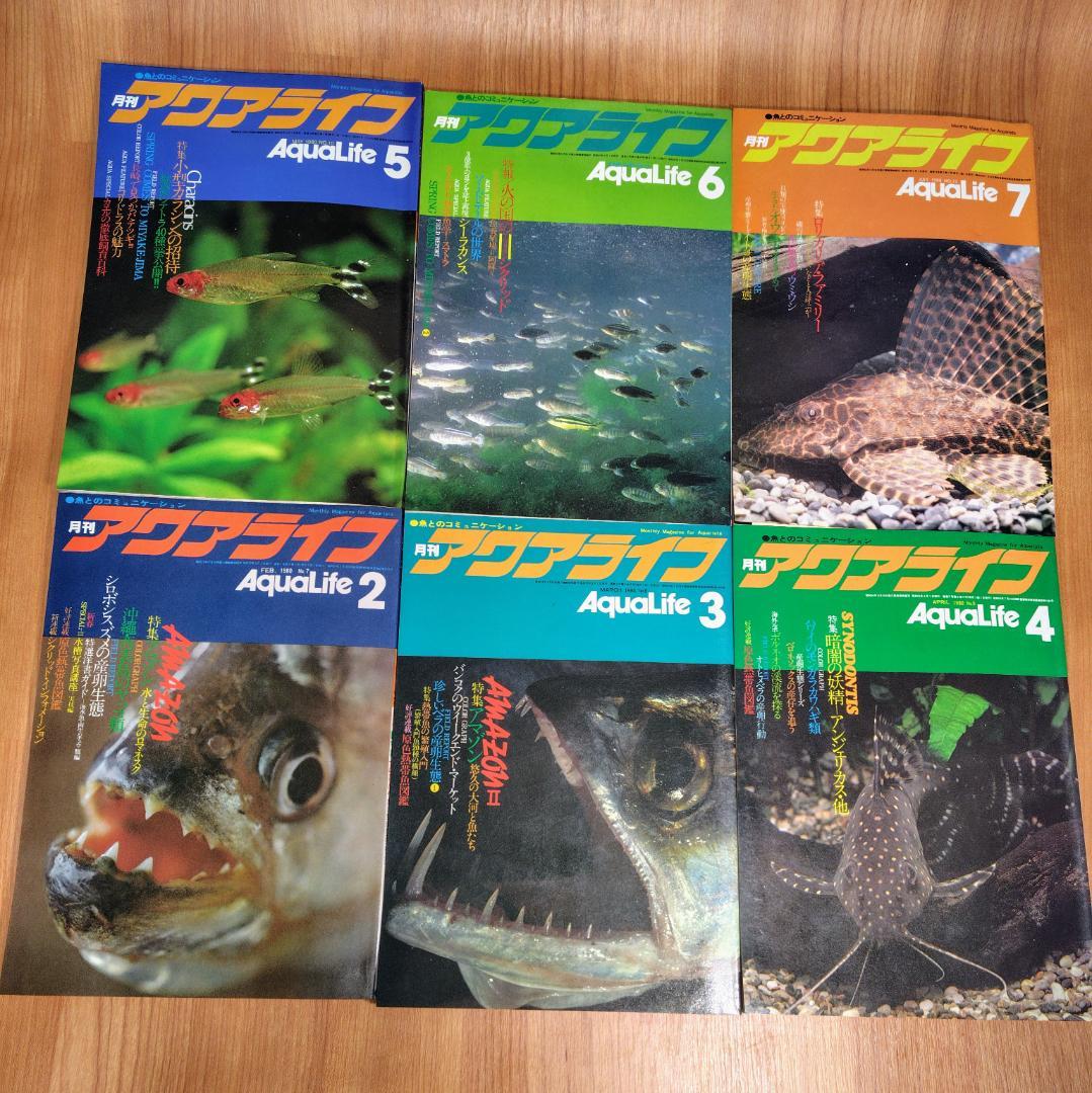 イ*3様 月刊アクアライフ 1980年 2月号～7月 合計6冊 昭和55年