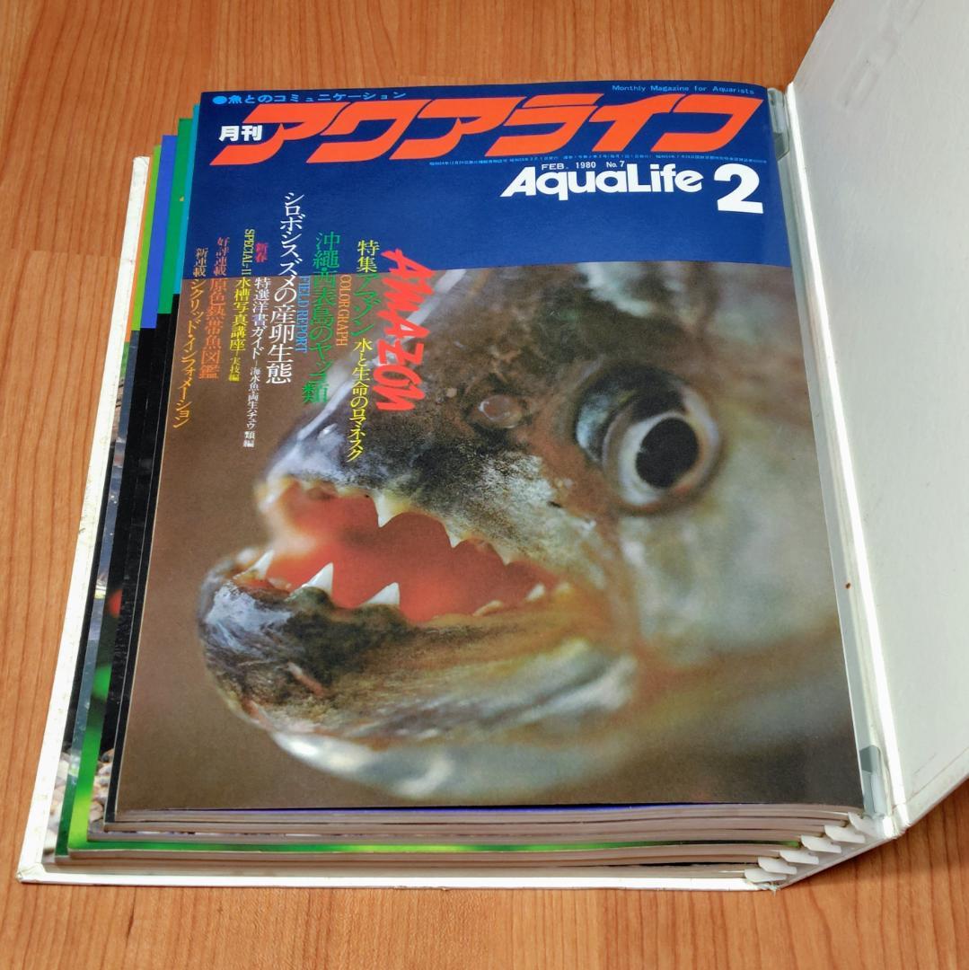 イ*3様 月刊アクアライフ 1980年 2月号～7月 合計6冊 昭和55年