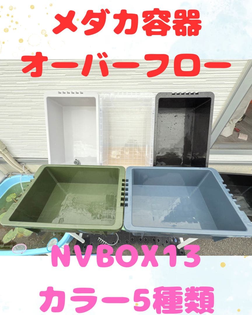 ★お買い得★NVBOX13 オーバーフロー容器 5個セットメダカ飼育 めだか