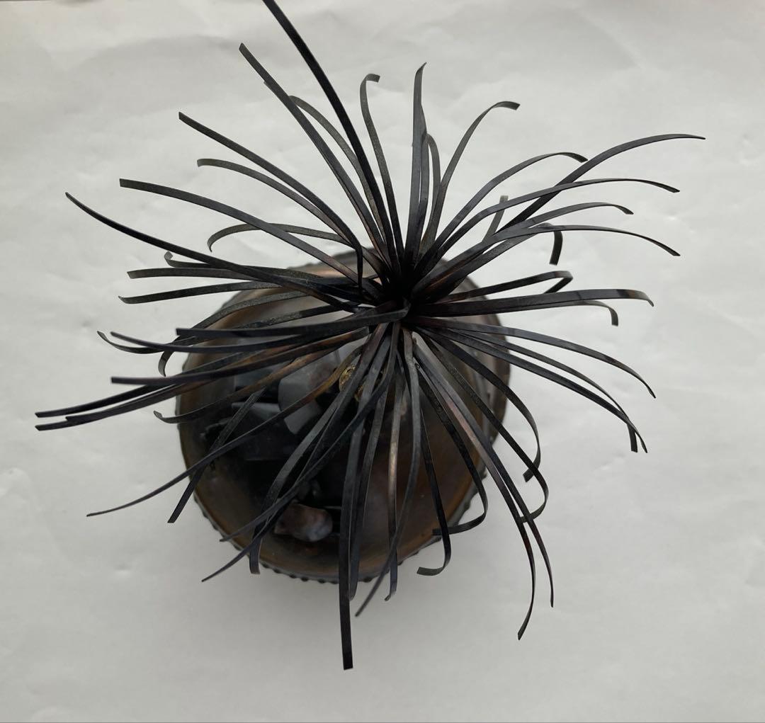 南の島で読書をする人　小樽オルゴール堂