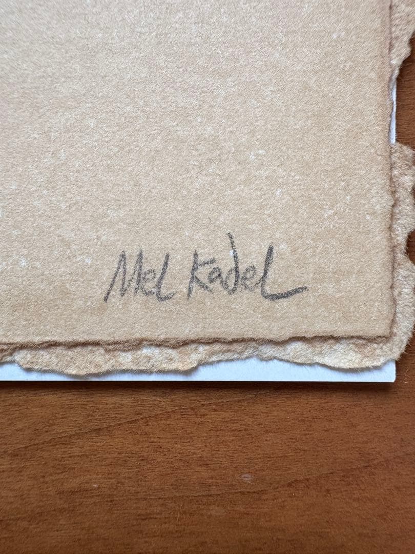 Mel Kadel 70枚限定 ナンバリング 直筆アートプリント 花井祐介