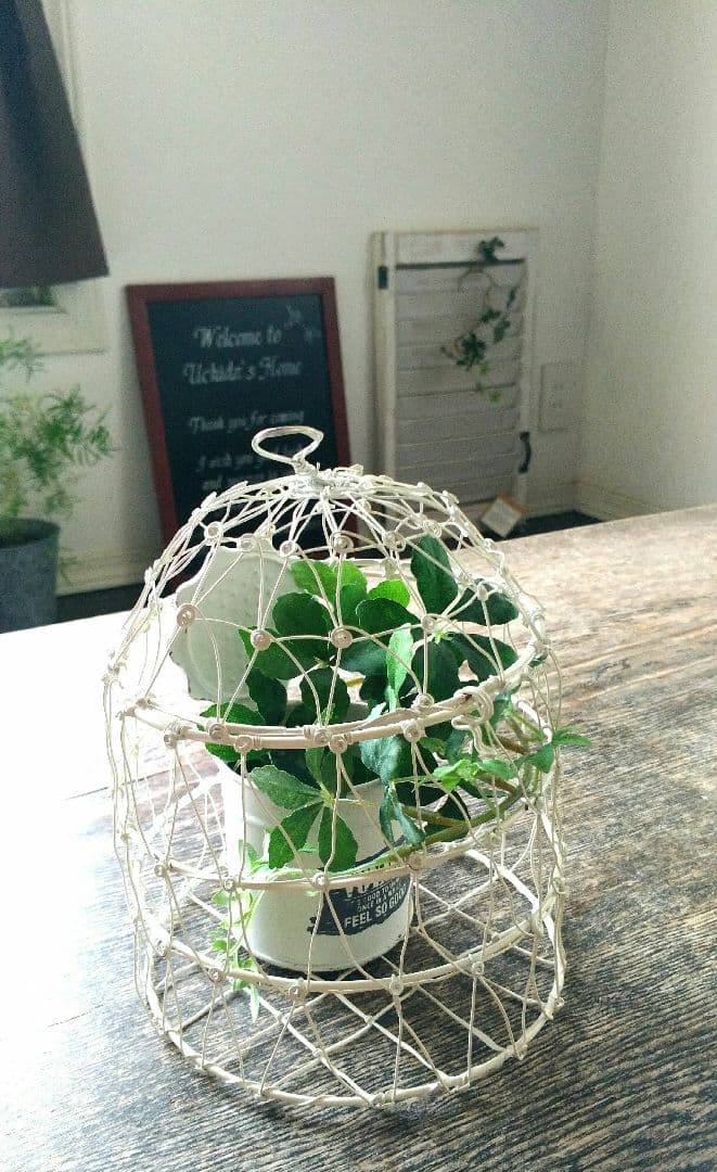 未使用☆アイアンの鳥かご風鉢ポット＆白いブリキポット＆フェイクグリーン