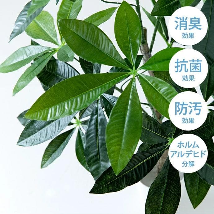 【光触媒/抗菌防臭】人工観葉植物 室内グリーン パキラ 高さ120cm