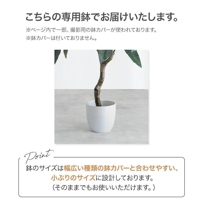 【光触媒/抗菌防臭】人工観葉植物 室内グリーン パキラ 高さ120cm