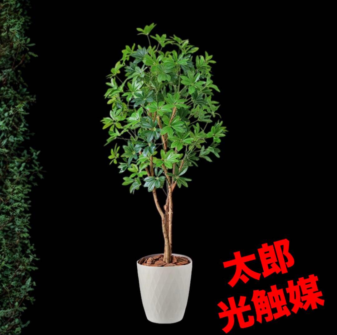 光触媒　人工観葉植物　ウォールグリーン　フェイクグリーン　カポック8321