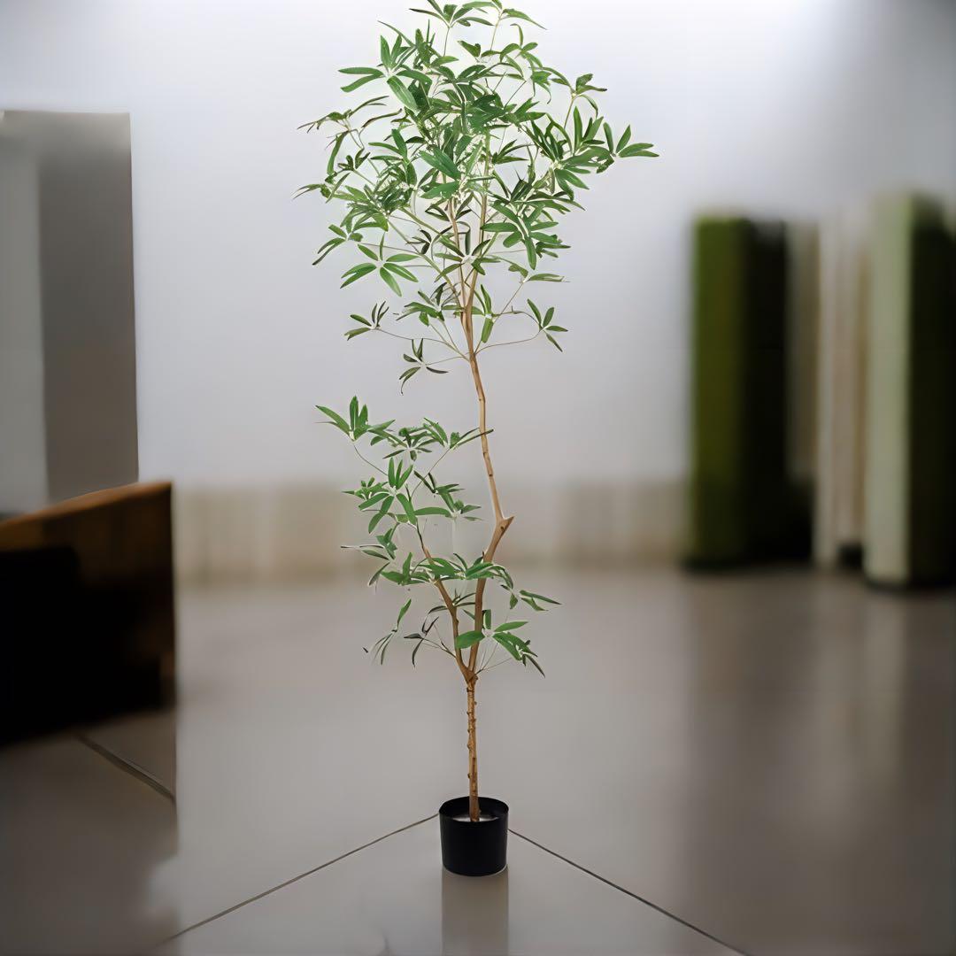 光触媒　人工観葉植物　フェイクグリーン　シェフレラアンガスティホォリア180