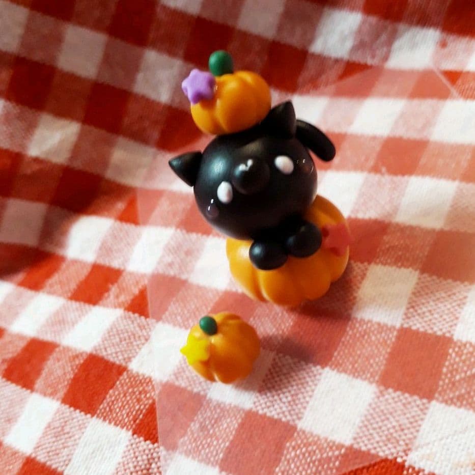 カボチャから黒猫さん★ハロウィン